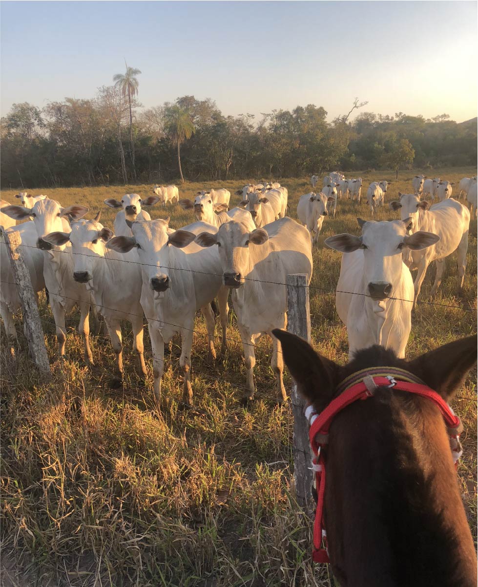 alternative asset class blockchain